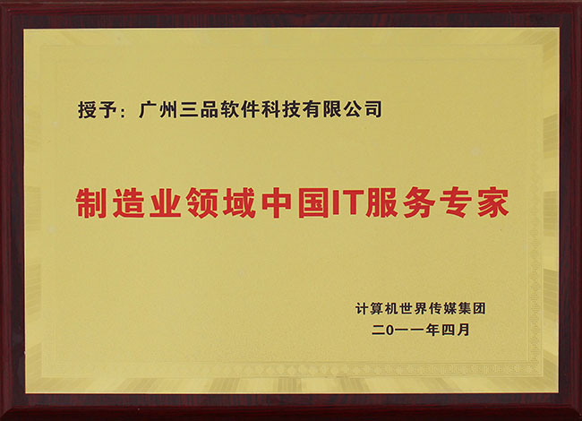 制造業(yè)領(lǐng)域中國(guó)IT服務(wù)專(zhuān)家